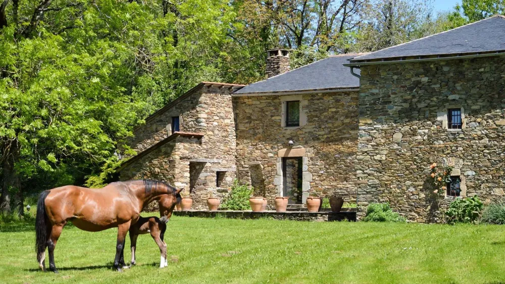 maison-chevaux